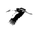 BB 10 0232 / Ciconia ciconia / Stork